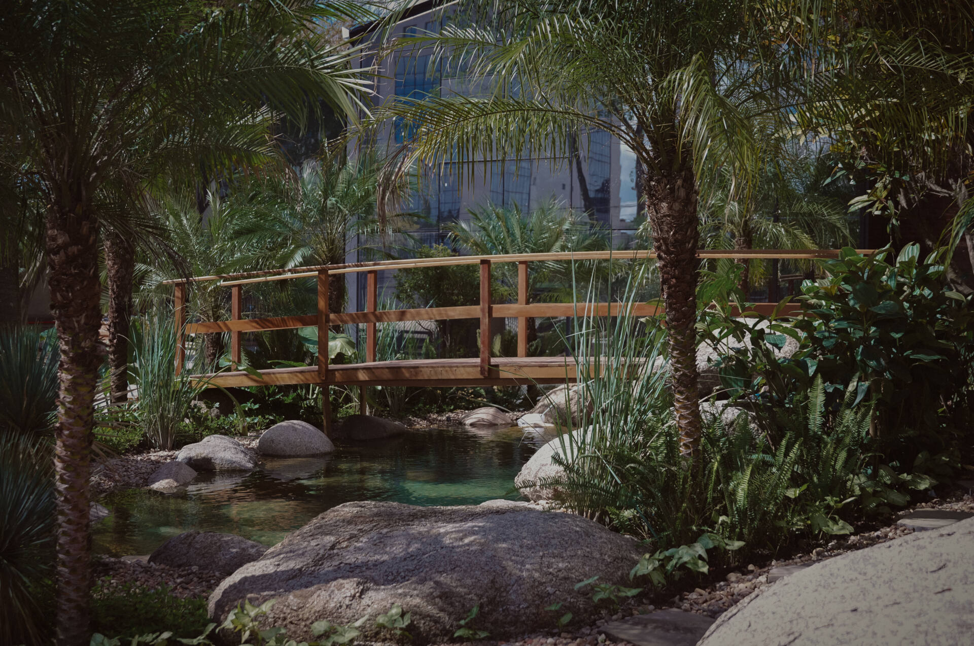 Jardim e lago da Clínica Dominique